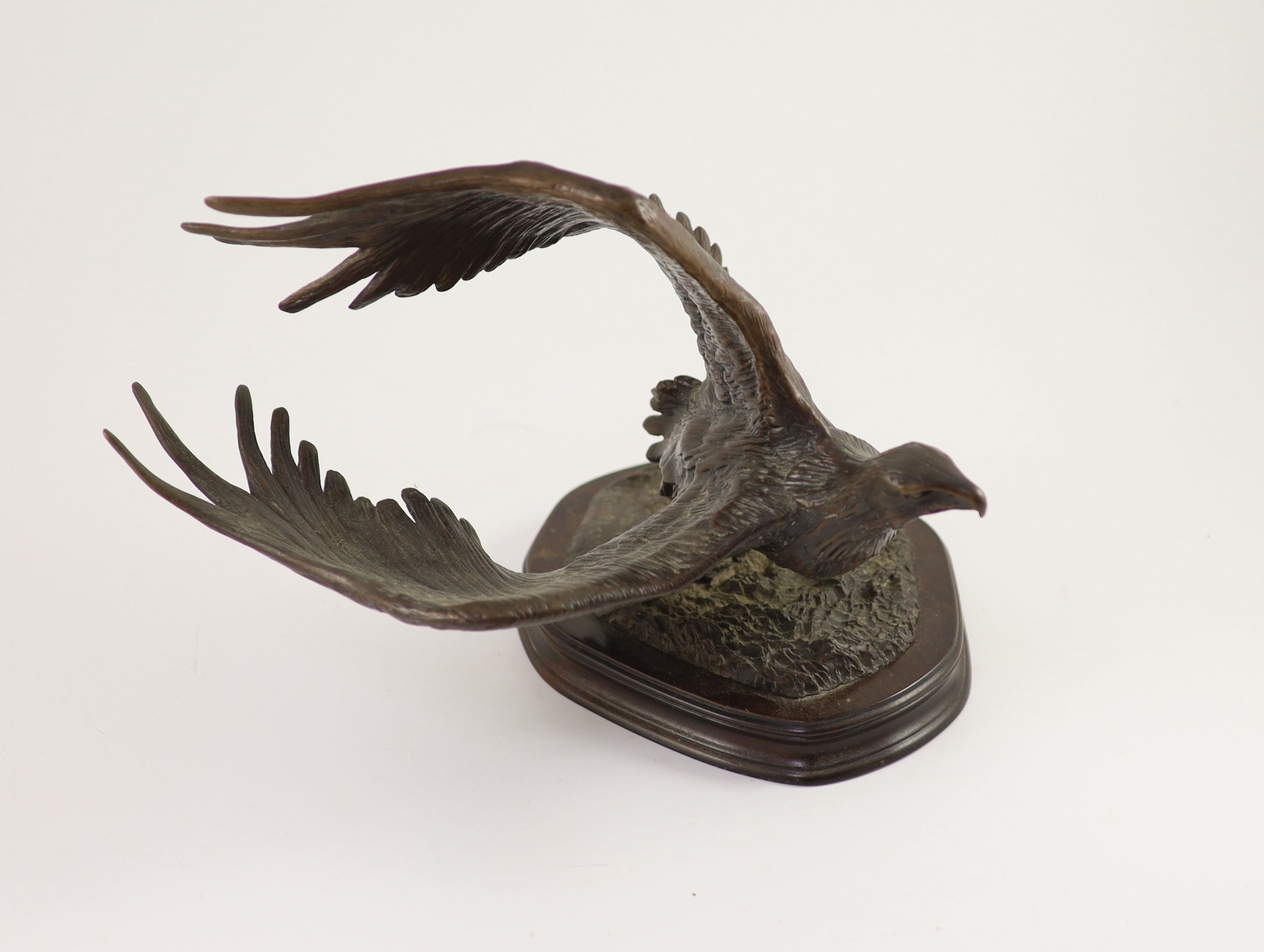 Tim Nicklin. A bronze model of an Osprey catching a salmon width 33cm height 25cm